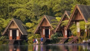 Menemukan Ketenangan dan Kesejukan di Rumah Kebun